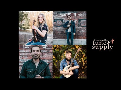 Kevin Buckley (fiddle)