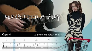 PDF Sample Numb Little Bug - Em Beihold Fingerstyle Guitar guitar tab & chords by Yuta Ueno.