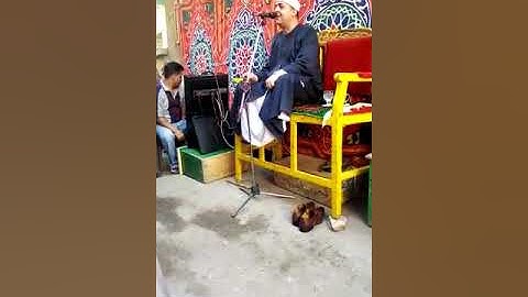 فضيلة القارئ الشيخ محمد حسن المهدى