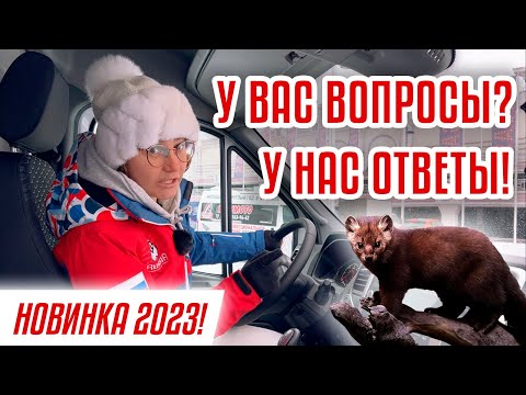 И снова о Соболе! | Соболь NN обзор | Часть 2