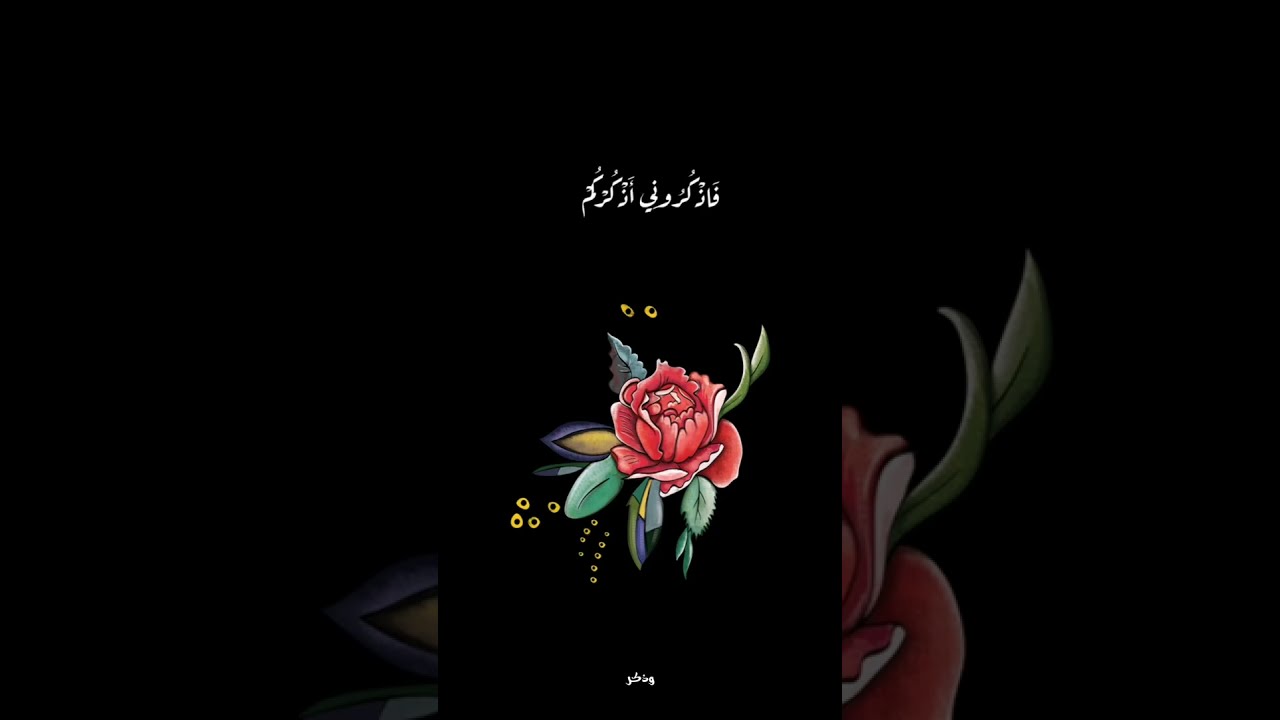 واستعينوا بالصبر والصلاة❤قرآن كريم💖بصوت القارئ الشيخ ناصر القطامى❤حالات واتس اب🌸