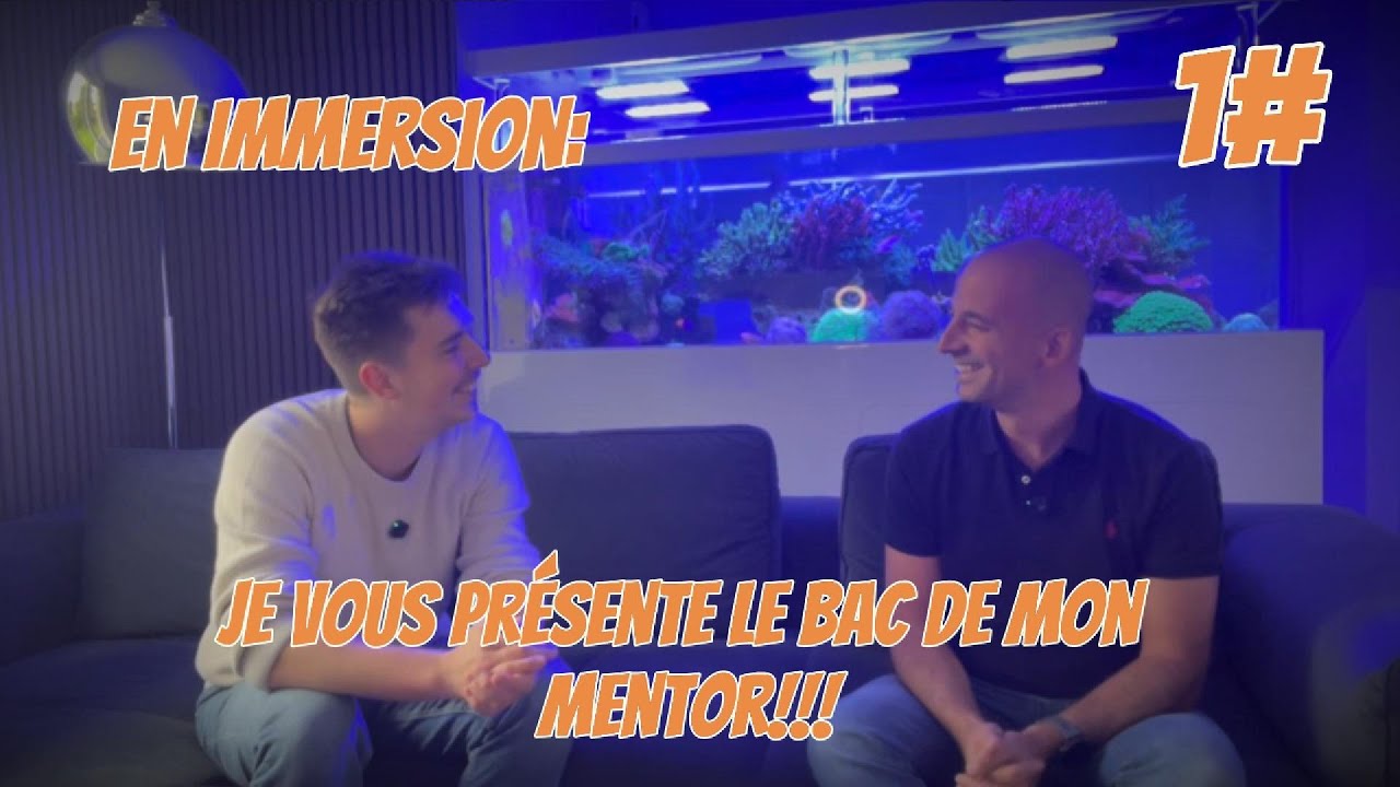 EN IMMERSION: JE VOUS PRESENTE LE BAC DE BENJAMIN!