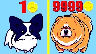 Merge Dogs! MAX LEVEL DOGS EVOLUTION! Merge Dogs Level 999? screenshot 4