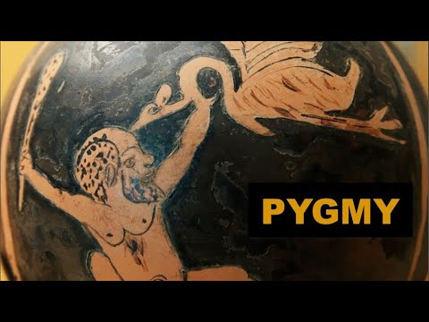The Pygmy (plural: Pygmies) - the diminutive human tribe! - YouTube