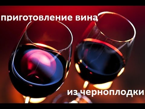 Приготовление вина из черноплодной рябины