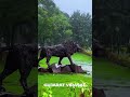 Best Season to Explore Junagadh : Monsoon 2026 | Gujarat Tourism | Gujarat Virasat