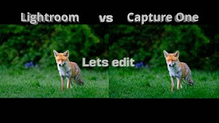 Lightroom vs Capture One have things change.