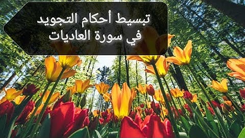 تبسيط أحكام التجويد في سورة #العاديات مع كيفية نطق حروف القلقلة.