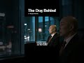 The Dog Behind | Sugarfields (Indie from Nagaoka, Japan) #shorts