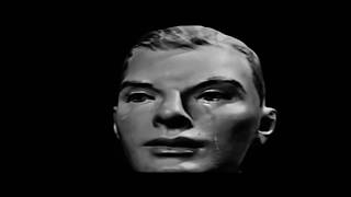 The Peptides  My Lovely Heart  