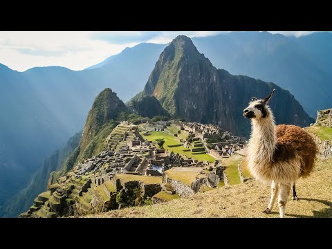 Video: Armchair Travel: Objavte Sieť Bizarre - Matador
