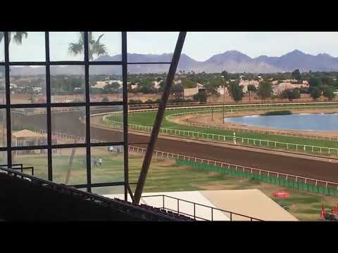 Video: Konjske utrke u Turf Paradiseu u Phoenixu