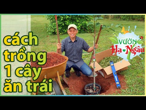 Video: Chọn Cây Mayhaw - Các Loại Mayhaw Khác Nhau Để Trồng Trong Vườn