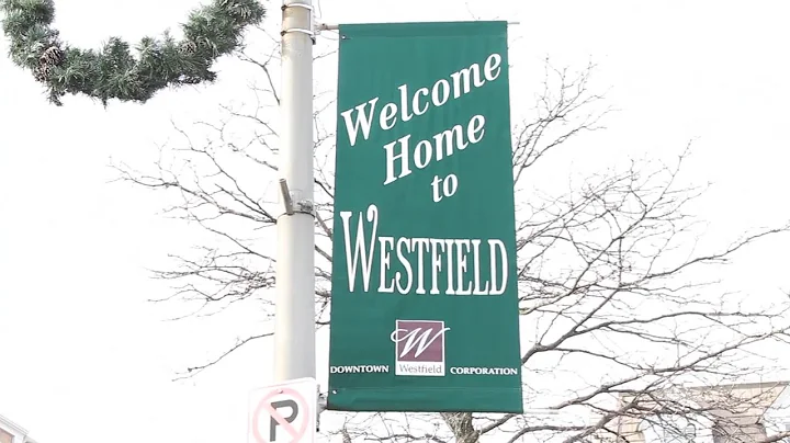 Sharon Steele Real Estate Westfield, NJ Town Overv...