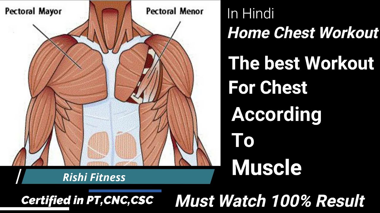 The BEST HOME CHEST WORKOUT NO EQUIPMENT NEEDED YouTube
