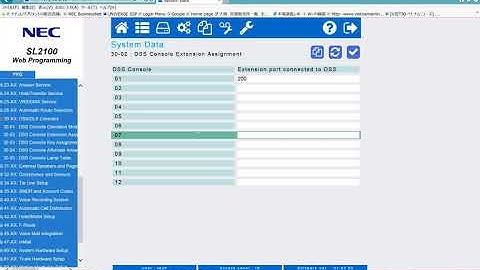 PBX  NEC SL1000(SL2100)  setup DSS