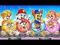 Brewing cute baby factory  brewing cute pregnant  very funny life story  paw patrol mighty movie