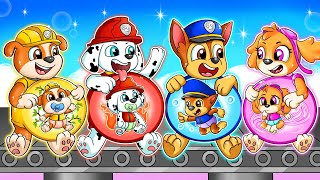 Brewing Cute Baby Factory & Brewing Cute Pregnant  Very Funny Life Story  Paw Patrol Mighty Movie