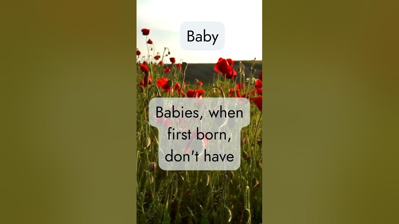 what-do-babies-not-have-when-born-facts-baby-babyshorts-babyfacts