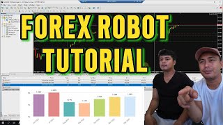 Forex Trading AI Robot Guide! Paano Gamitin ang Sweet Corn EA?