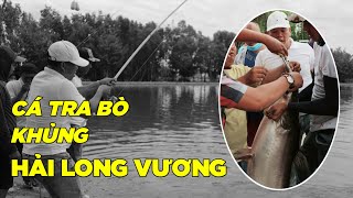 Câu Được Cá Tra Bò Khủng | Khai Cần Đầu Năm Tại Hồ Giải Hải Long Vương | Chung Nguyễn Fishing