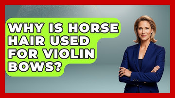 Why Is Horse Hair Used For Violin Bows? - Classical Serenade