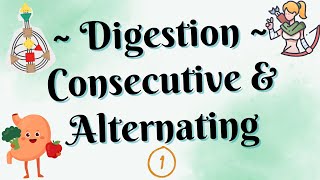 ~ Consecutive & Alternating Digestion ~ Human Design ~