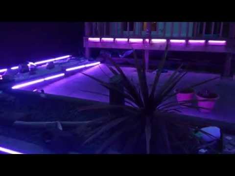 garden-lights-with-rgb-led-strip-designed-and-built-by-carltronics