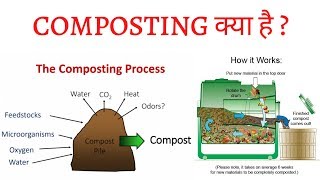 Composting क्या है और यह कैसे किया जाता है? खाद तैयार करने के 3 चरण