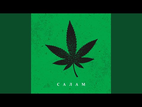 Салам