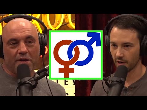 What Started the Cultural Fixation on Gender? thumbnail