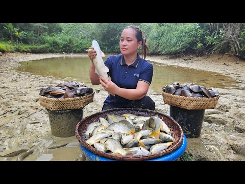 Process Harvesting Mussels & Fish Goes to market sell - Grilled fish - Cooking