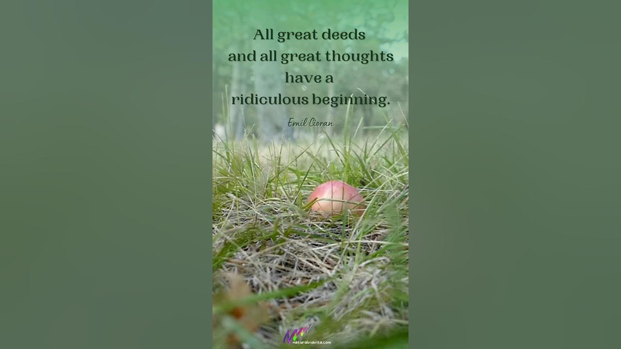 the-absurd-genesis-embrace-the-ridiculous-inspirational-quote-youtube