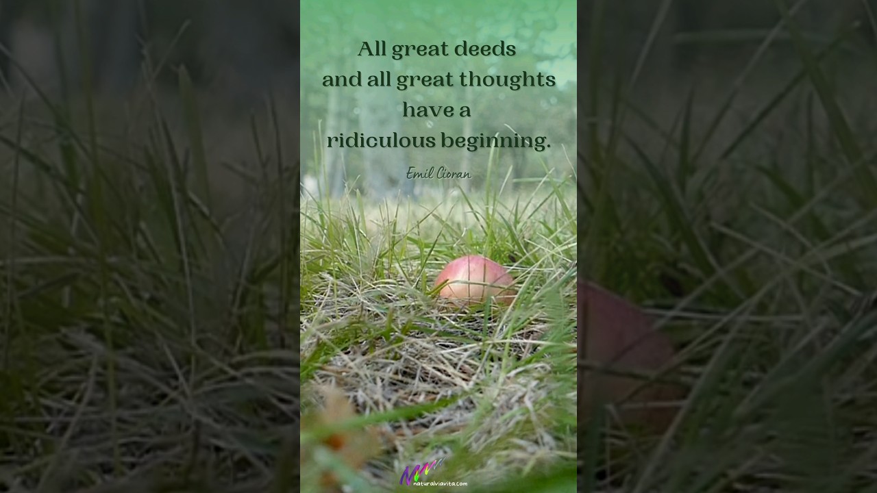 The Absurd Genesis Embrace The Ridiculous Inspirational Quote YouTube The Absurd Genesis Embrace The Ridiculous Inspirational Quote YouTube