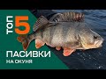 ТОП 5 Силіконових Приманок На Пасивного Окуня