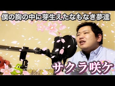 【新しいスタート】サクラ咲ケ/嵐 covered by RO⚡︎HI