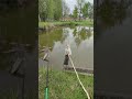 Cat and fishing 🐈🎣