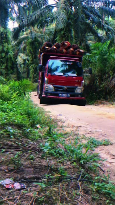 toyota dyna 130 HT nanjak