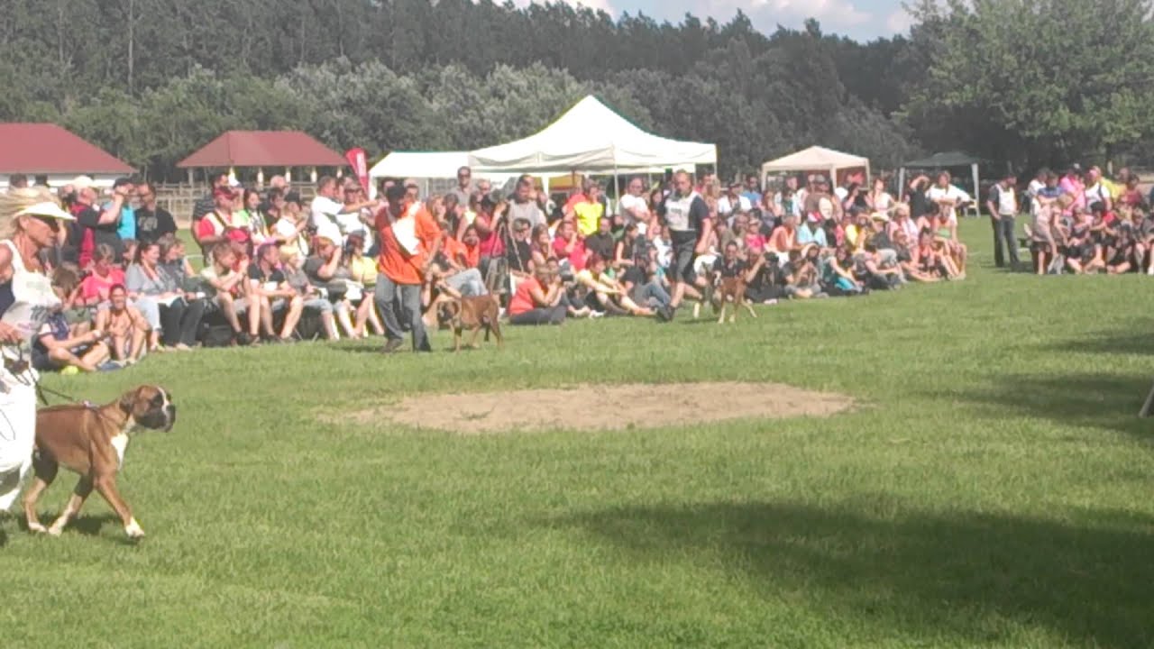 Atibox 2013 juniors finals