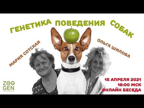Генетика поведения собак