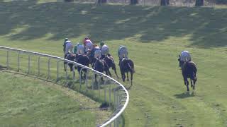 Vidéo de la course PMU PRIX MALKOBOY