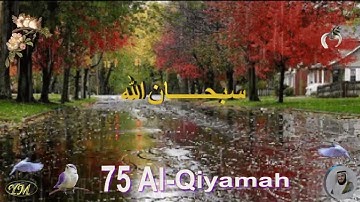 75 Al Qiyamah سورة القيامة الشيخ مشاري راشد العفاسي