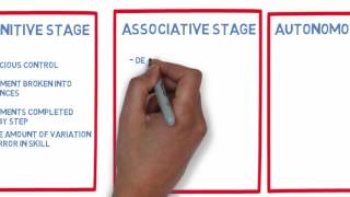 Three stages of learning movement