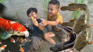 Sawah Banjir Banyak ikan Lele dan Ikan Koi bersama Vicho Bocah Ngevlog