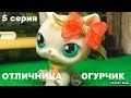 LPS фильм: ОТЛИЧНИЦА ОГУРЧИК 5 серия