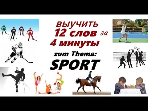 Учить Немецкие Слова По Теме Sport. Немецкий Язык.