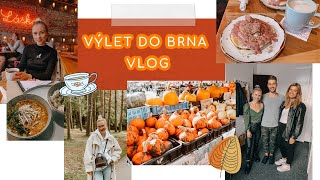 MENŠÍ LIFE UPDATE A VÝLET DO BRNA | VLOG