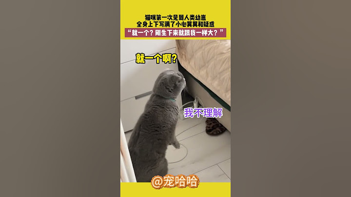 猫咪第一次见到人类幼崽 全身上下写满了小心翼翼和疑惑“就一个？刚生下来就跟我一样大？”  #萌宠 #宠哈哈