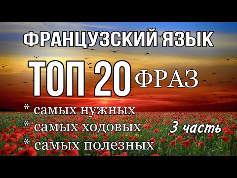 ТОП 20 УНИВЕРСАЛЬНЫХ  ФРАНЦУЗСКИХ ФРАЗ  | ЧАСТЬ 3 | французский по полочкам