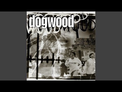 Dogwood - More Than Conquerors